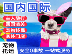 上海虹桥机场托运国际宠物托运 【国